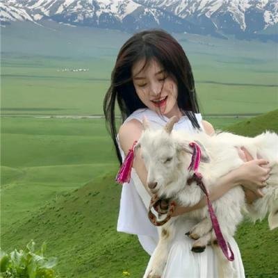 天机十二宫第二季